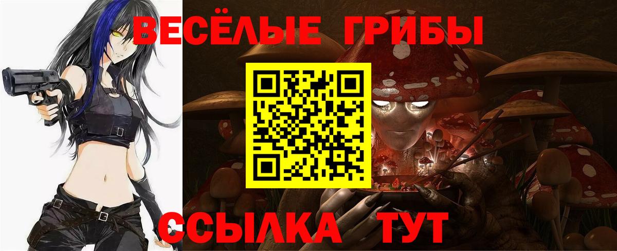 Галлюциногенные грибы ЛСД Ессентуки